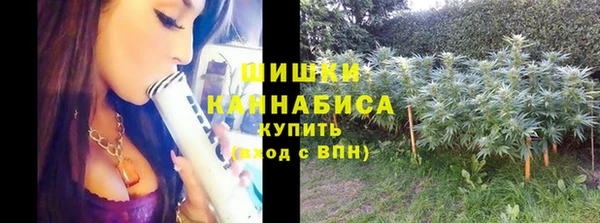 a pvp Кодинск