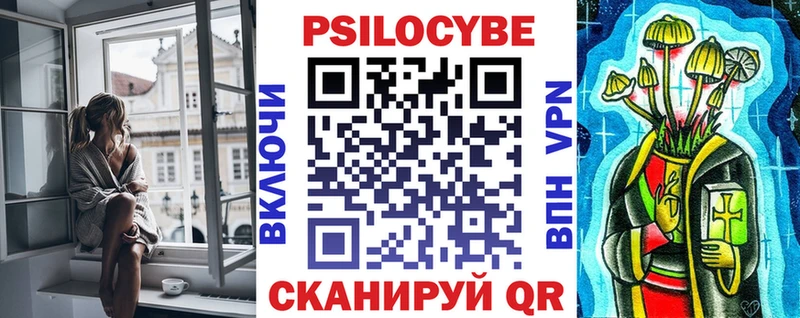 Купить закладки Моздок Галлюциногенные грибы Psilocybine cubensis